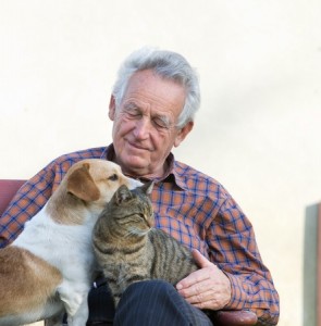 27979316 - senior man with dog and cat on his lap in garden