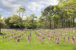 45924364 - massachusetts national cemetery on memorial day displaying flags